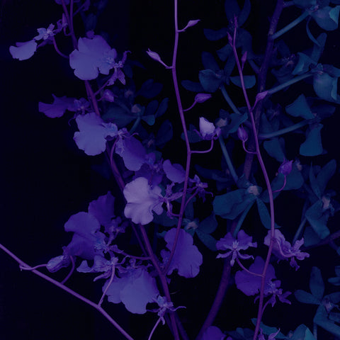 Ultra Violet