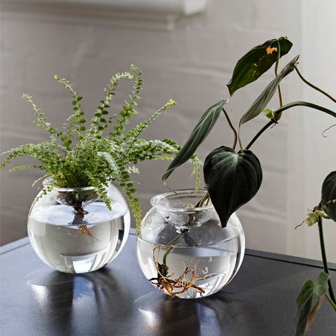 Bulb Planter 10cm Set of 2