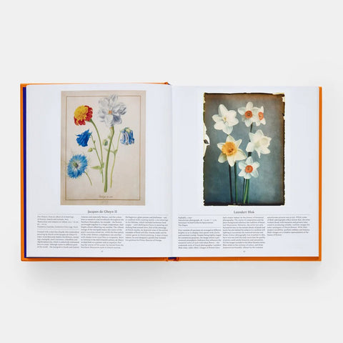Flower - Exploring the World in Bloom