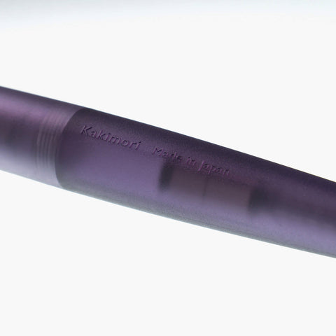 Frost Fountain Pen Fine
