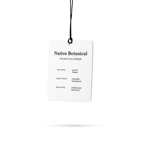 Card Air Freshener