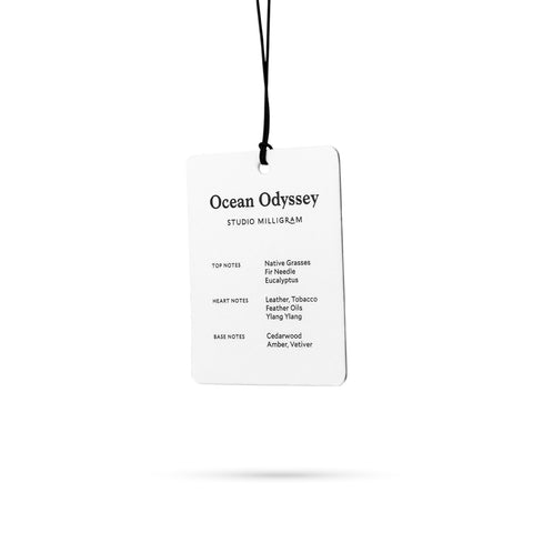 Card Air Freshener