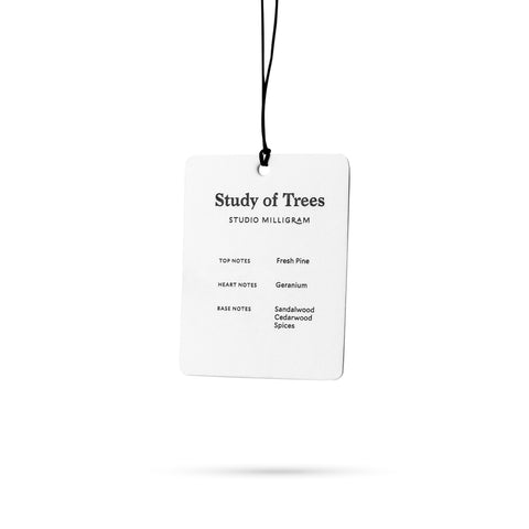 Card Air Freshener