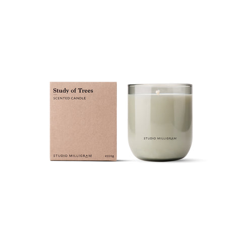 Study of Trees Scented Candle