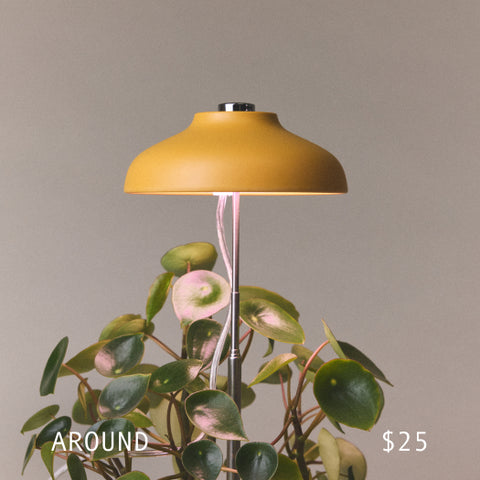 Gifts Around $25