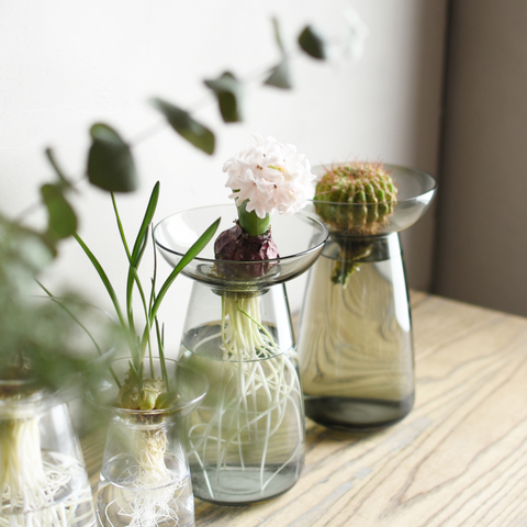 Aqua Culture Vase