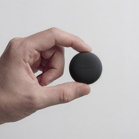 Orbit Earplugs