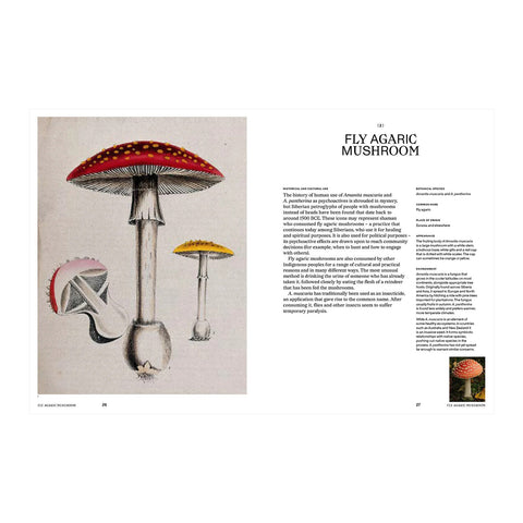 Psychoactive Plants and Fungi