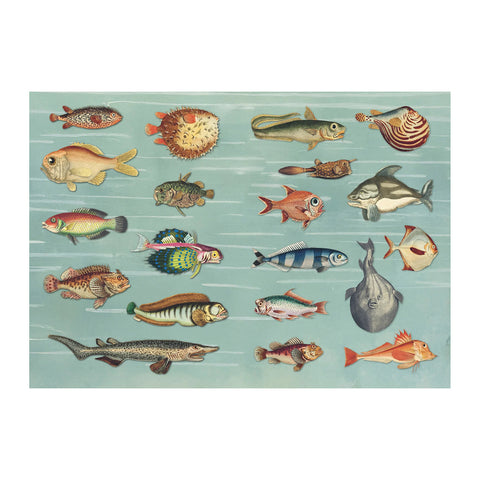 The Curious Collections Sticker Book