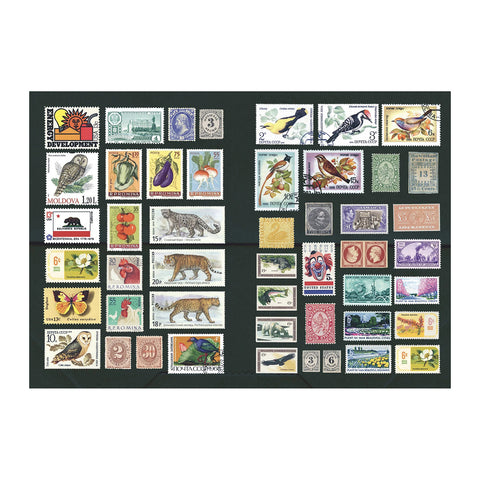 The Curious Collections Sticker Book