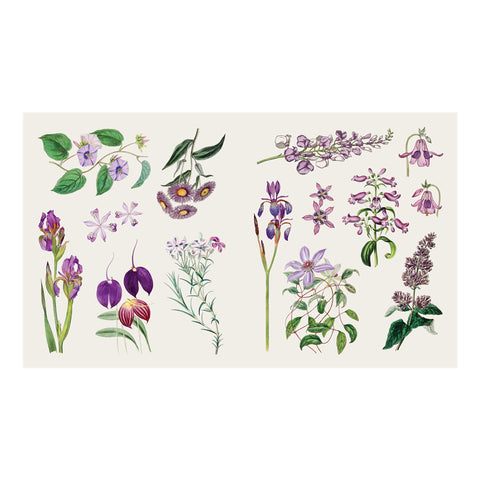 The Sticker Treasury of Butterflies and Blooms