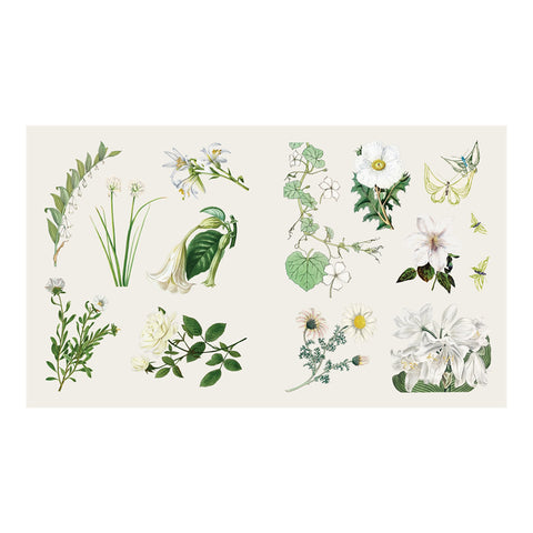 The Sticker Treasury of Butterflies and Blooms