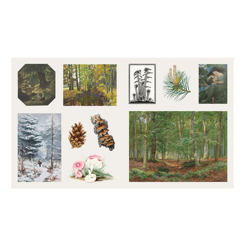 The Sticker Treasury of Woodland Adventures