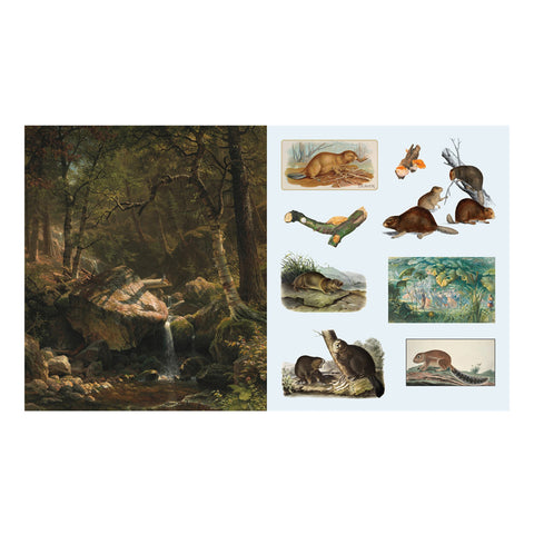 The Sticker Treasury of Woodland Adventures
