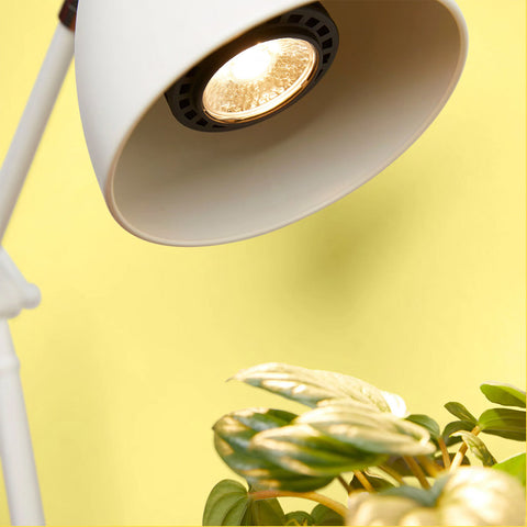 Instant Sun Glow Bulb
