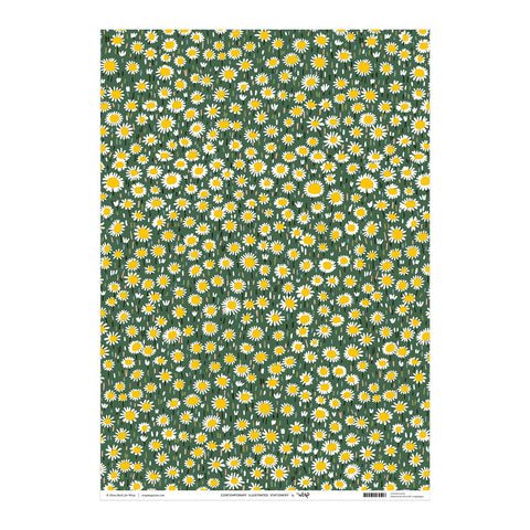 Daisies Wrapping Sheet